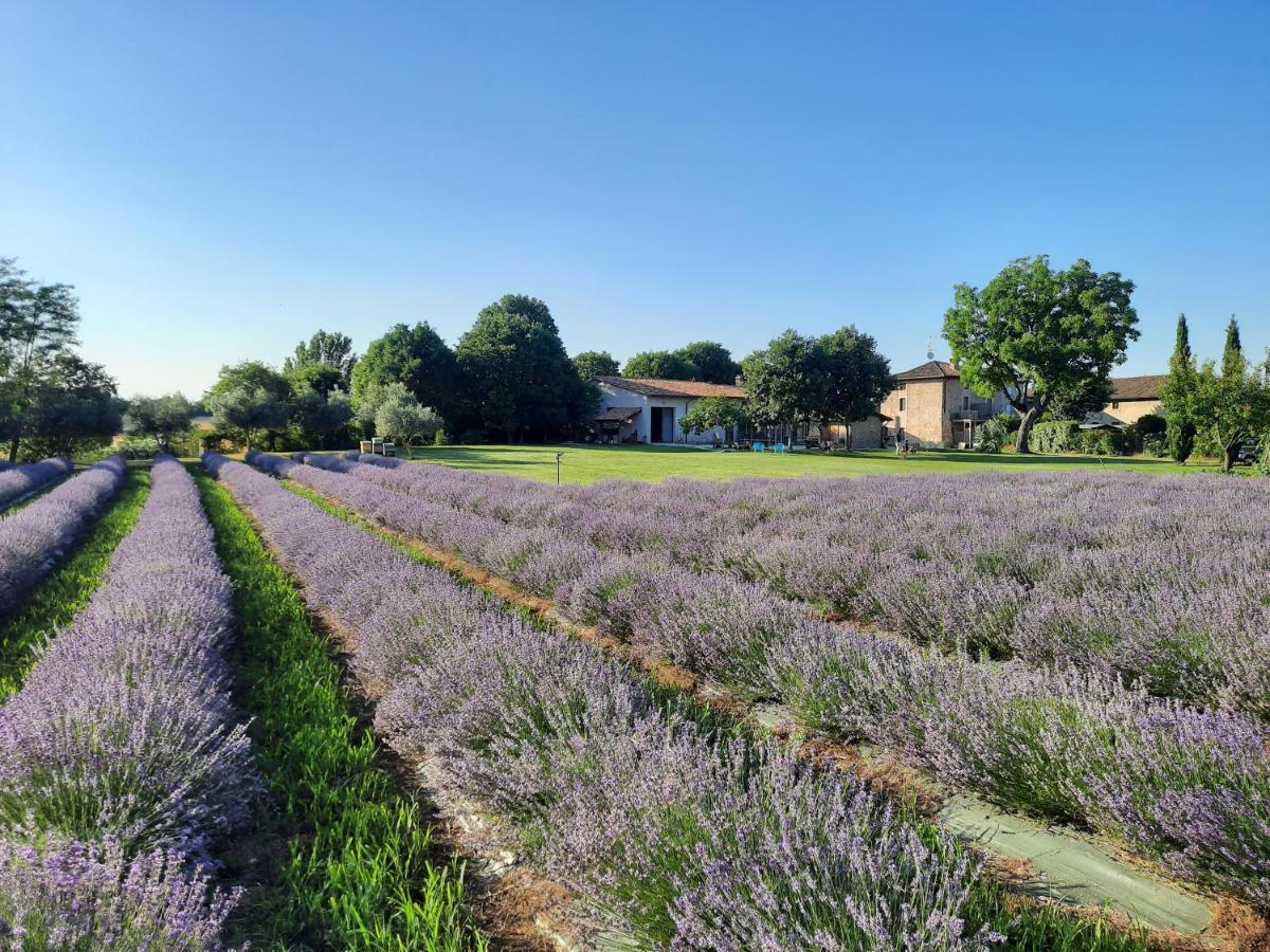 Corte Davini Agriturismo モンツァンバーノ エクステリア 写真